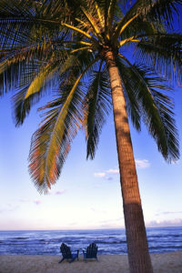 South Florida Community Links